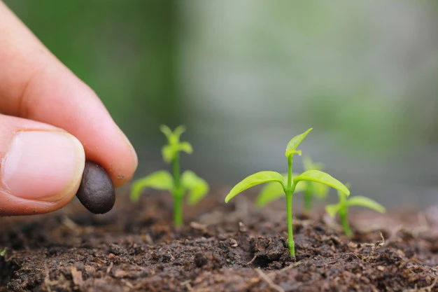 Bảo vệ môi trường là cứu lấy chính mình ảnh 1 baovemt.jpg