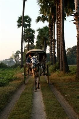 Lối xưa xe ngựa