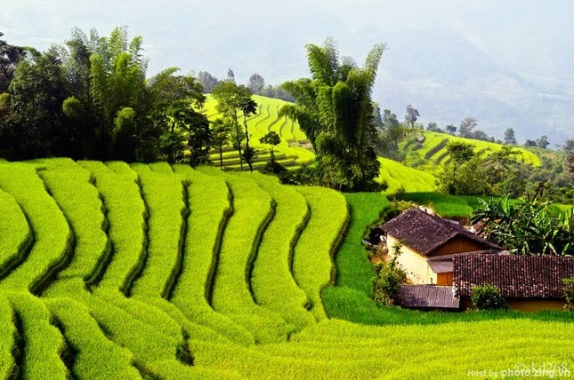 Tượng Phật Ngọc cho hòa bình thế giới ảnh 3 Tượng Phật Ngọc cho hòa bình thế giới ảnh 3