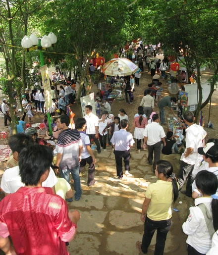 PN17 (12).JPG