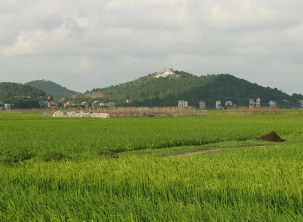 PN17 (13).JPG
