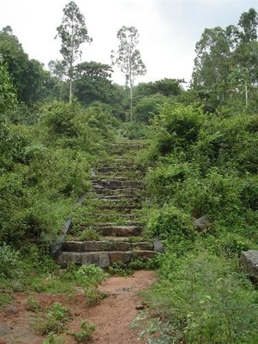 Những bậc đá lên chùa chìm trong cỏ dại Những bậc đá lên chùa chìm trong cỏ dại