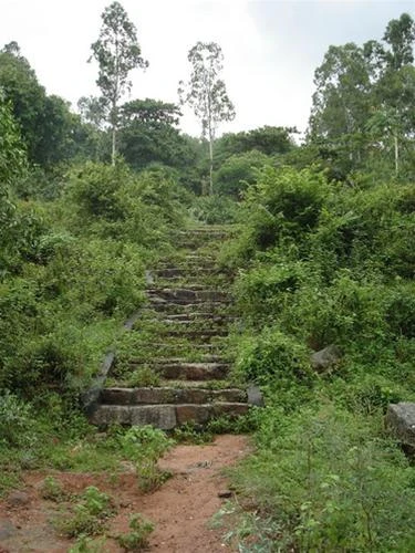 Những bậc đá lên chùa chìm trong cỏ dại