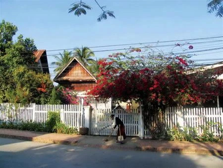Phố Luang Prabang êm đềm buổi sáng