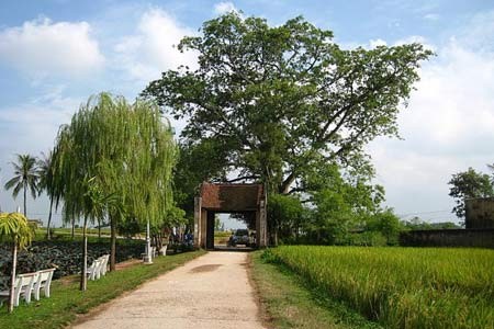 Cổng vào làng vẫn còn mang đậm lối kiến trúc làng Việt xưa với cây đa, bến nước… Cổng vào làng vẫn còn mang đậm lối kiến trúc làng Việt xưa với cây đa, bến nước…