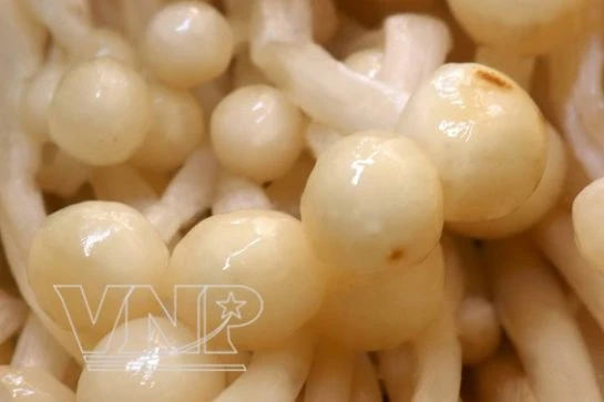 Món ngon từ nấm ảnh 2