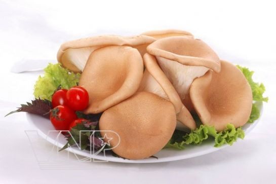Món ngon từ nấm ảnh 5 Món ngon từ nấm ảnh 5