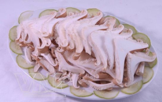 Món ngon từ nấm ảnh 4 Món ngon từ nấm ảnh 4