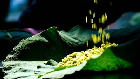 Hương cốm làm tôi nhớ về chốn đồng quê với hương vị của lúa non, nó gợi về một vùng yên bình thật nhẹ nhàng chứ chẳng ồn ào xe cộ, khét lẹt mùi khói của phố phường quá ư là đông đúc. Ảnh: VnE Ảnh minh họa