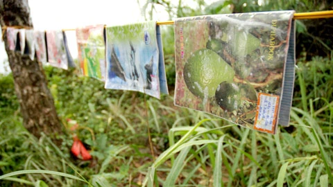 Phơi sách vở chờ ngày đến trường...