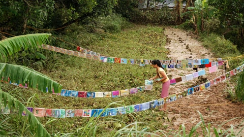 ...trên những mảnh vườn đã bị lũ quần nát.