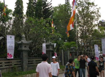 XTH (19).JPG