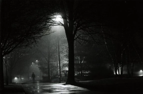 Viết cho nỗi cô đơn ảnh 1