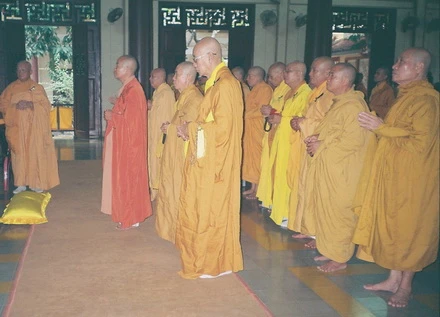 TTN - NT (2).JPG