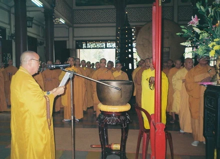 TTN - NT (7).JPG