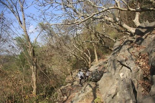 Đường vào hang Cắc Cớ