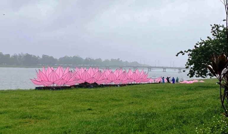 Hoa sen được tập kết ở bờ Nam sông Hương - Ảnh: HVPGVN tại Huế