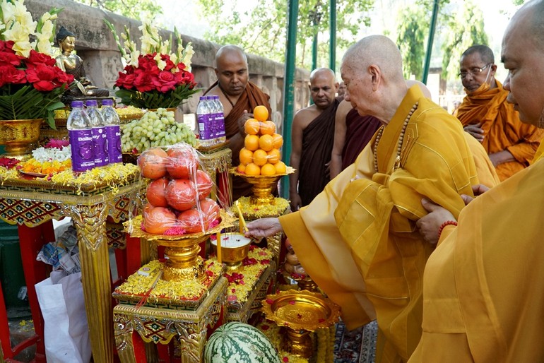 Trưởng lão Hòa thượng Thích Trí Quảng thắp đèn cúng Phật dưới cội Bồ-đề ở Bồ Đề Đạo Tràng, nơi Đức Thế Tôn thành đạo - Ảnh: Hoàng Độ