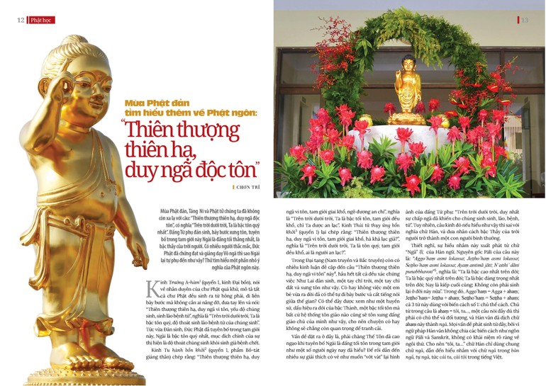 Mùa Phật đản, tìm hiểu thêm về Phật ngôn: “Thiên thượng thiên hạ, duy ngã độc tôn”