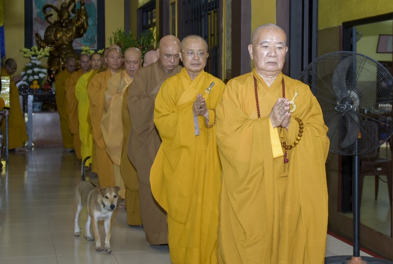Hòa thượng Thích Nhựt Hiển hướng dẫn đại chúng trường hạ chùa Long Bửu hành thiền, niệm Phật 