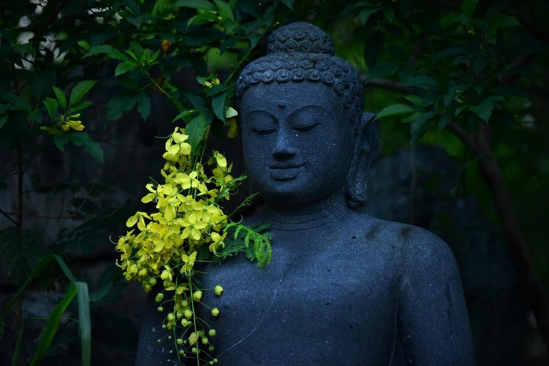Hạnh phúc và quan điểm Phật giáo luôn đi đôi với nhau. Phật giáo đã truyền bá điều gì để mọi người đạt được hạnh phúc? Bức ảnh có liên quan đến hạnh phúc và quan điểm Phật giáo sẽ giúp bạn khám phá điều đó và rút ra những bài học ý nghĩa trong cuộc sống.