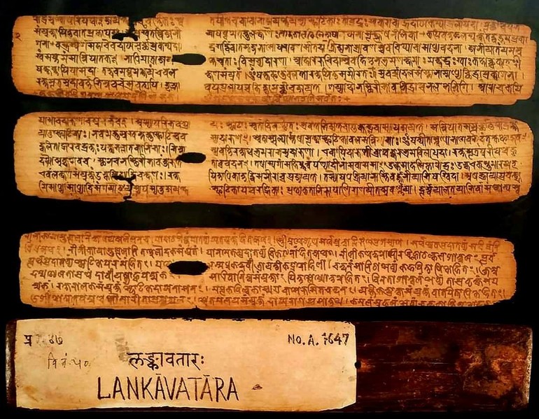 Một số phiến kinh Lăng-già (Laṅkāvatāra Sūtra) viết trên lá bối - Ảnh tư liệu