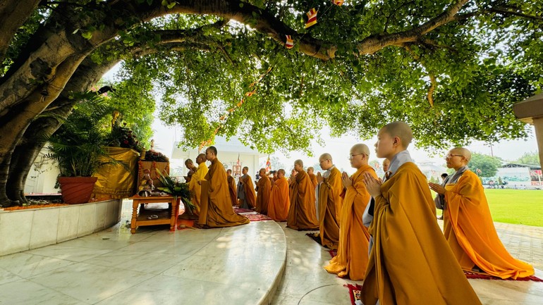 Lễ Tắm Phật được cử hành dưới cội Bồ-đề 