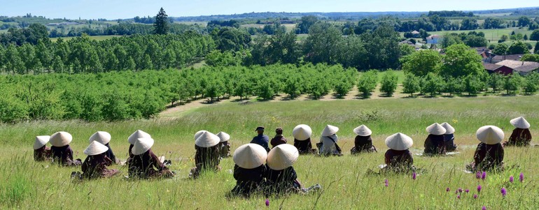 Đức Phật và Tăng đoàn đệ tử của Ngài là hình ảnh sống động nhất, hoàn hảo nhất cho lối sống thân tâm lành mạnh - Ảnh: Làng Mai