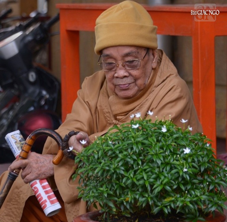 Đại lão Hòa thượng Thích Hiển Tu - Ảnh: Bảo Toàn