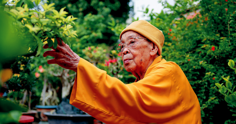 Đại lão Hòa thượng Thích Hiển Tu, 103 tuổi - Ảnh: Đăng Huy