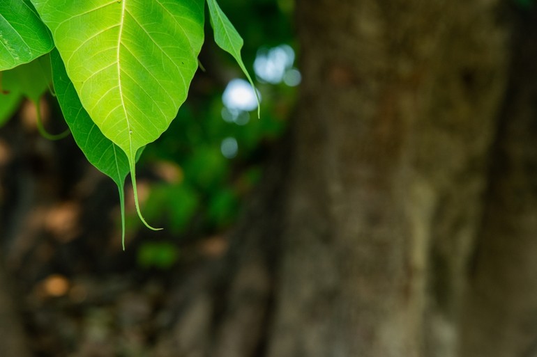 Tôi là ai, là ai, là ai…mà yêu quá đời này - Ảnh minh họa