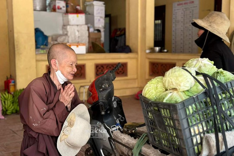 Sư cụ Thích Đàm Chung, trụ trì chùa Vạng (Hoài Đức, Hà Nội) tự tay trồng hoa củ mang đến cúng dường trường hạ chùa Đại Từ Ân, hôm 29-6 - Ảnh: TĐH