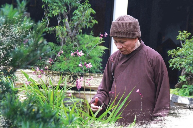 Trưởng lão Hòa thượng Thích Giác Quang, Phó Pháp chủ Hội đồng Chứng minh GHPGVN