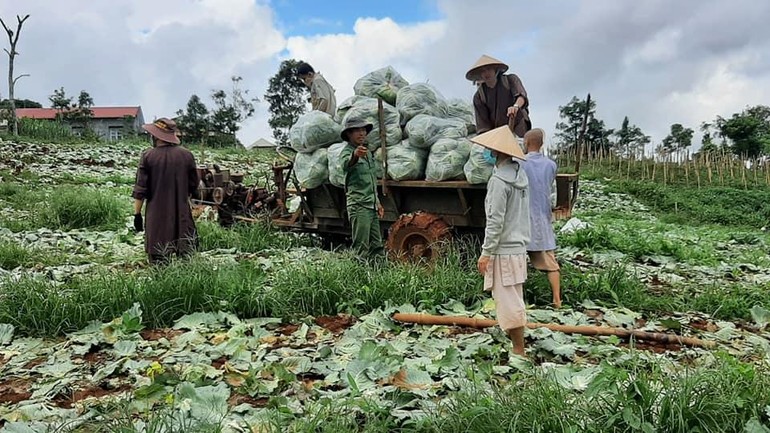 Chư Tăng và Phật tử chung tay góp phần sớm đẩy lùi dịch bệnh Covid-19