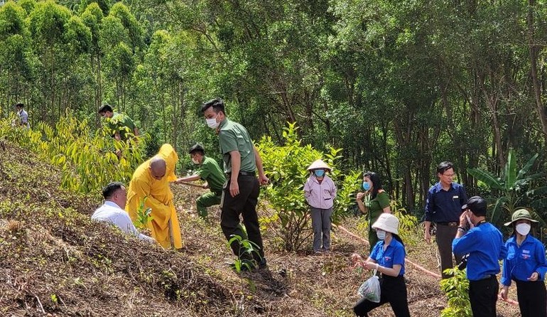 Trồng cây trên đất chùa Phước Vân