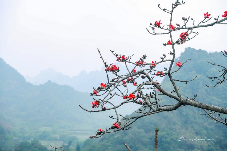 Vài suy ngẫm về bài ca "Phóng cuồng ngâm" của Tuệ Trung Thượng Sĩ