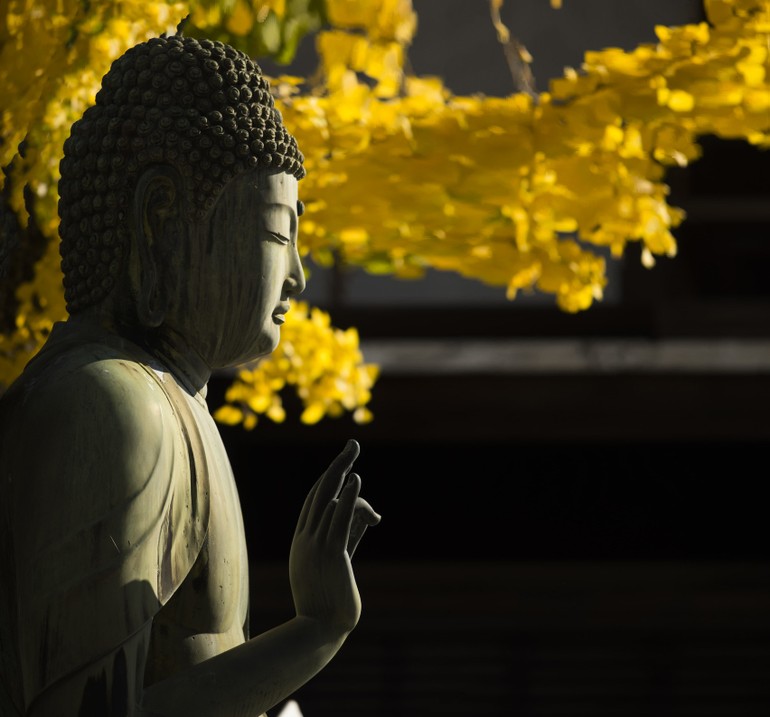 Vô nhân tâm không chỉ là phạm trù tâm lý học, mà còn là chìa khóa mở cánh cửa đạo đức Phật giáo: đạo đức của tự chủ và của chánh niệm