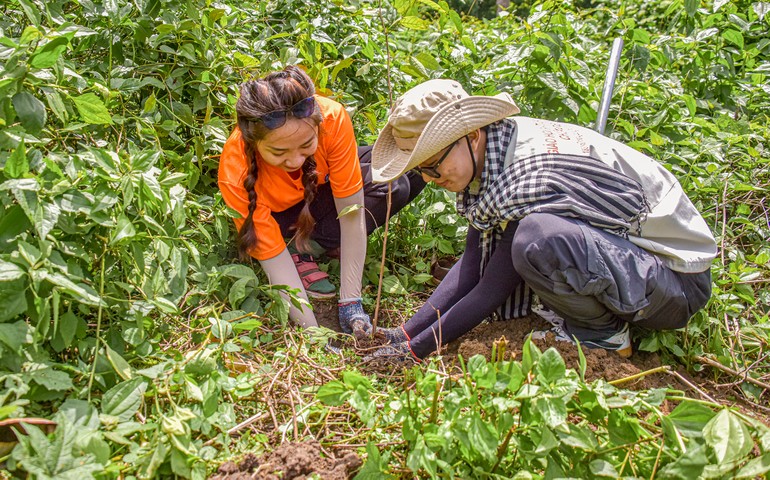 Hai bạn trẻ đang thực hiện công việc trồng cây xanh tại Khu bảo tồn thiên nhiên núi Ông (Bình Thuận) - Ảnh: Quảng Đạo/BGN