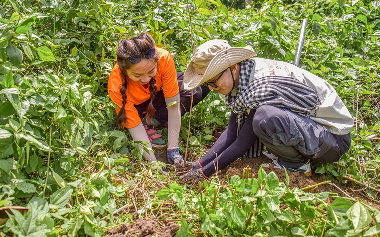 Hai bạn trẻ đang thực hiện công việc trồng cây xanh tại Khu bảo tồn thiên nhiên núi Ông (Bình Thuận) - Ảnh: Quảng Đạo/BGN