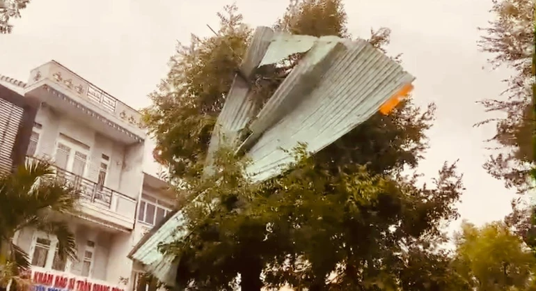 Gió thổi bay mái tôn vắt trên cây ở Hội An, Quảng Nam