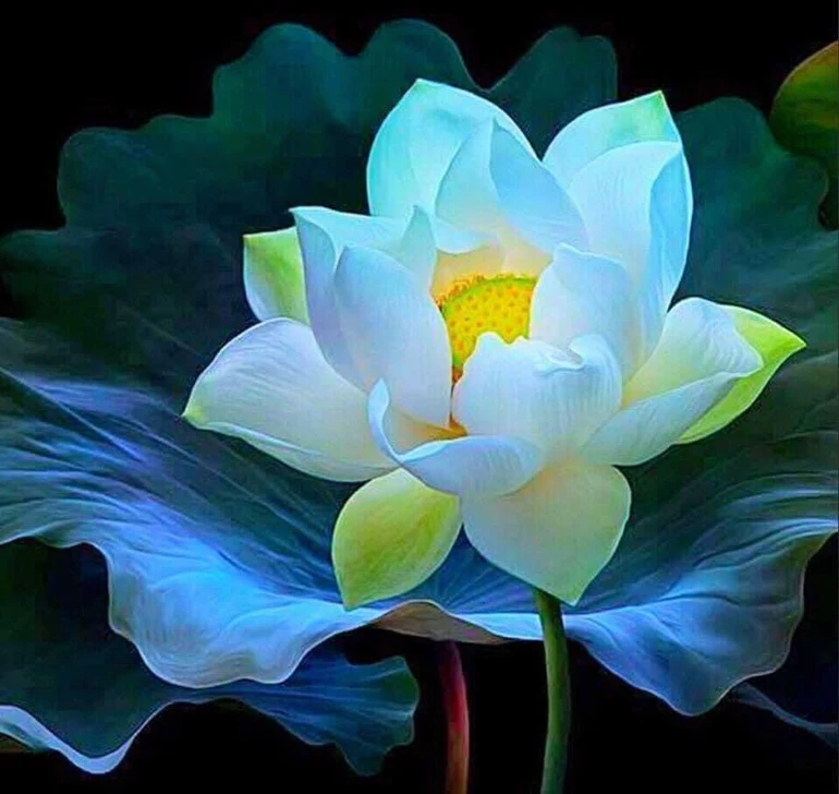 Hòa thượng Tinh Vân: Phụ nữ lấy nhu làm điểm mạnh