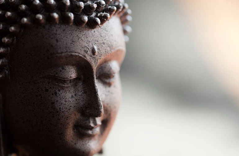 Phật giáo không phải là tôn giáo theo như nghĩa mà Tây phương gán cho tôn giáo, nghĩa là có siêu việt, có tín điều, có Thượng đế, có sức nặng chủ lực của lòng tin. Phật giáo đặt nặng trên kinh nghiệm, trên chứng ngộ của bản thân, không có tín điều. Thái độ của Phật giáo không đi ngược với khoa học