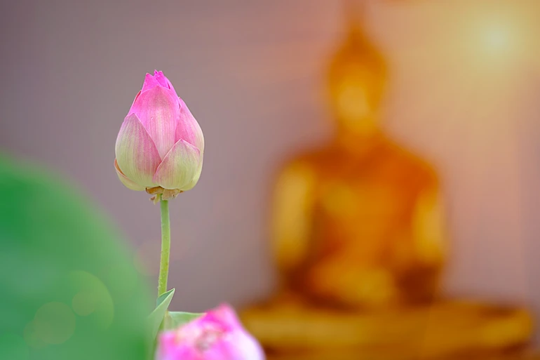 Làm thế nào để chọn cho mình một tôn giáo chân chính?