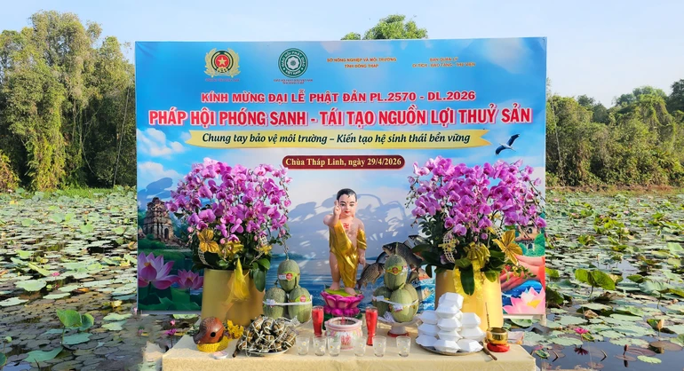 Ban Trị sự GHPGVN tỉnh Đồng Tháp tổ chức pháp hội phóng sanh và thả cá tái tạo nguồn lợi thủy sản tại Khu di tích Gò Tháp