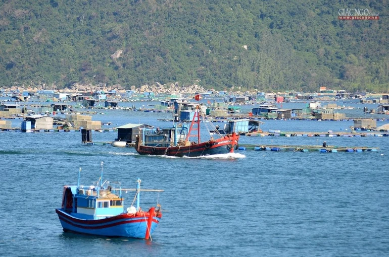 Vịnh Vũng Rô không chỉ được biết đến là di tích lịch sử huyền thoại trong kháng chiến, đây còn là miền đất hứa...