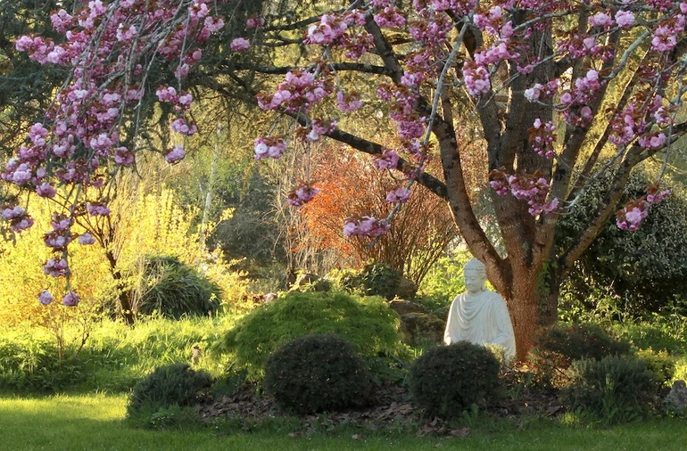 Học và ứng dụng giới luật Phật giáo trong đời sống tu tập