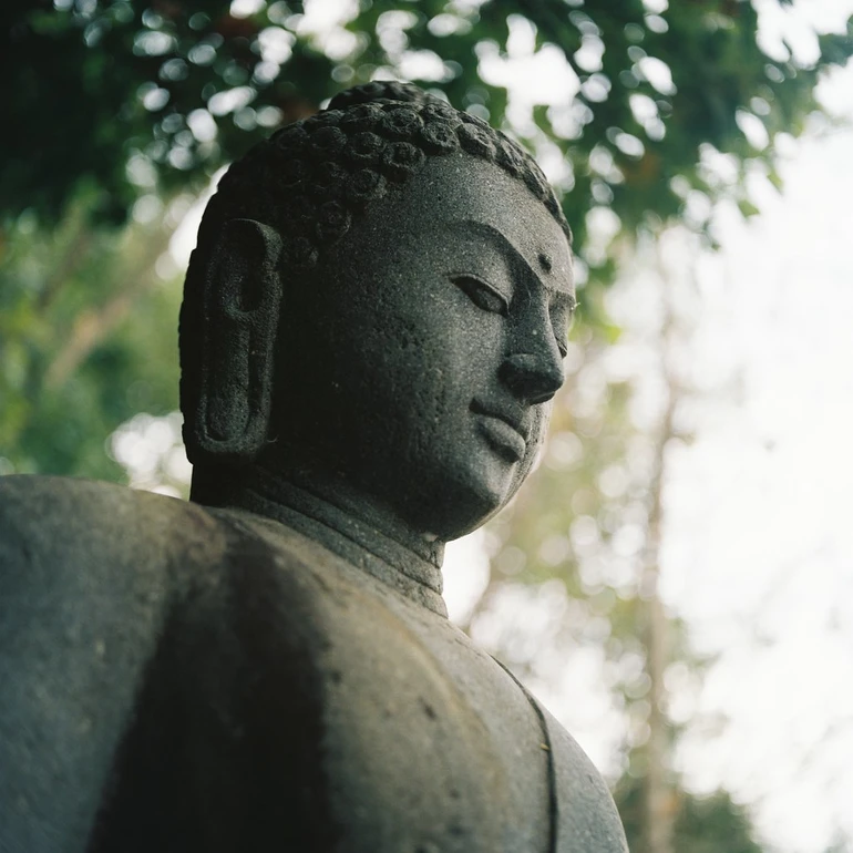 Tại sao người ta đau khổ?