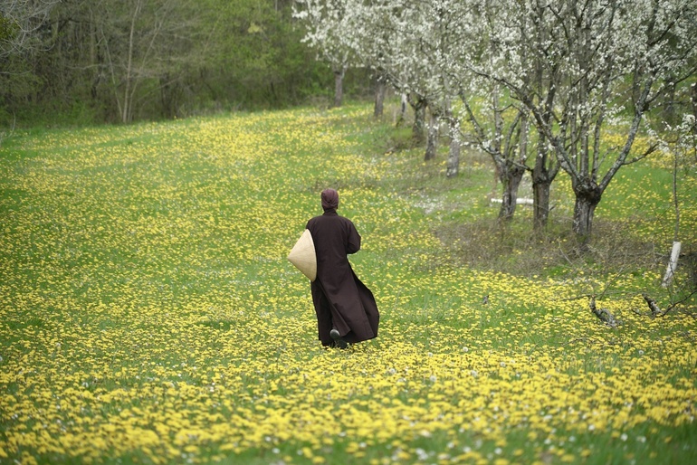 Những thứ do duyên tạo không thuộc về ai, không có ai đảm trách