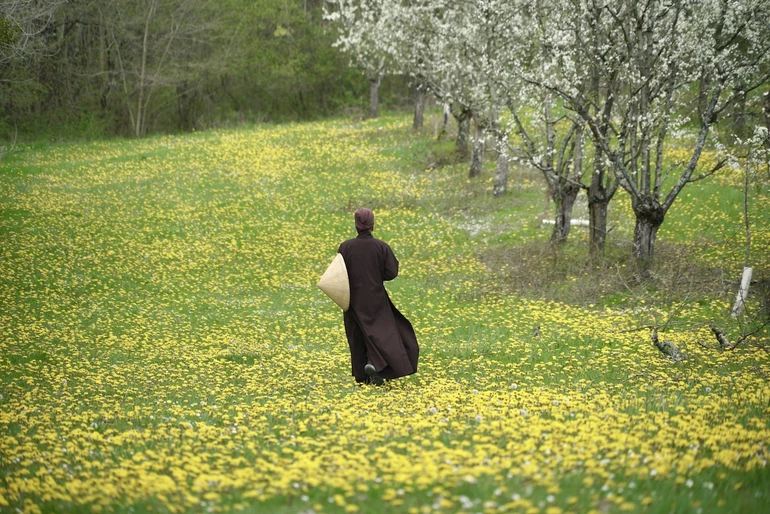 Những thứ do duyên tạo không thuộc về ai, không có ai đảm trách