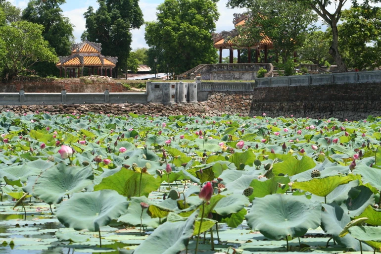 Bản lĩnh trí thức Việt Nam đối với triều đình Trung Quốc trước và sau công nguyên qua sử liệu